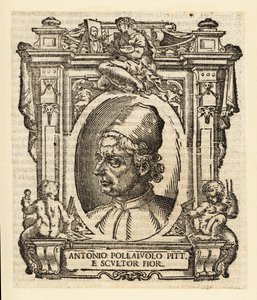 Porträt von Antonio del Pollaiuolo, italienischer Maler, Bildhauer, Graveur und Goldschmied der Renaissance aus Florenz, ca. 1429-1498 von Italian School