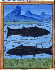 Fischzeichen. Italienisches Horoskop, Mitte des 15. Jahrhunderts. von Italian School