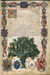 Textseite mit ornamentalen Rändern, Illustration aus 