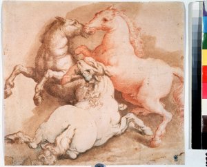 Kampf der Pferde. Zeichnung mit Feder, Tinte der italienischen Schule. 1550-1600
