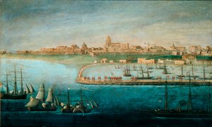 Einheit Italiens: Expedition der Tausend, die Landung in Marsala