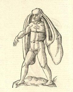 Illustration von Homo Fanesius auritus aus Aldrovandis Geschichte der Monster, 1642 von Italian School