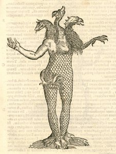 Illustration von Monstrum triceps capite Vulpis, Draconis, & Aquilae aus Aldrovandis Geschichte der Monster, 1642 von Italian School