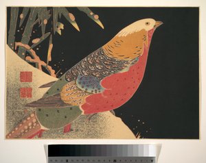 Goldfasan im Schnee, um 1900 von Ito Jakuchu