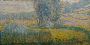Das Feld von Rafolče