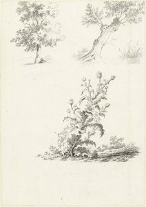 Zwei Studien eines Baumes und einer Distel von J.B. Joss (attributed to)