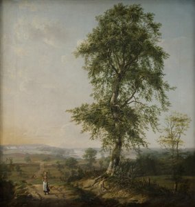 Landschaft mit einem großen Baum