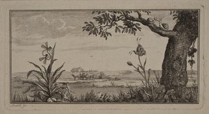 Blick über eine flache Landschaft, im Vordergrund Pflanze mit Insekten und Baum mit Schnecken