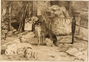 Hunde am Herd Nr. 1