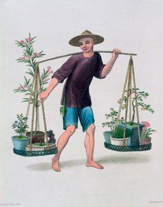 Ein Träger mit Obstbäumen und Blumen, China, 1800 von J Dadley