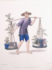 Ein Träger mit Obstbäumen und Blumen, ca. 1800-01 von J Dadley