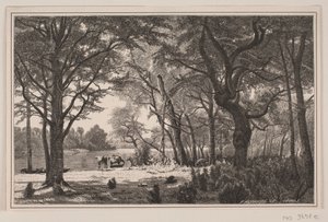 Jütländische Waldpartie von J. Hildebrand