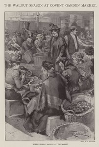 Die Walnuss-Saison auf dem Covent Garden Market, London von J. Macfarlane