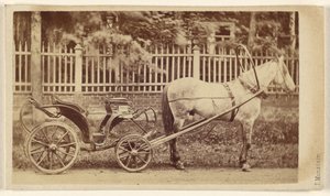 [Kleiner Wagen mit Pferd] von J. Monstein