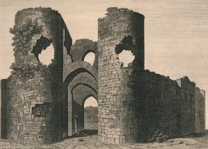Ballyloghan Castle von J Newton