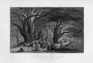 Alte Zedern im Wald des Libanon, 1841 von J. Redaway