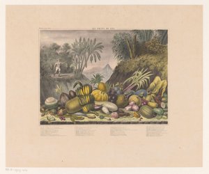 Javanische Früchte von J. Schnell
