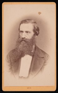 Porträt von Mordecai Cubitt Cooke 1825-1914, 1873