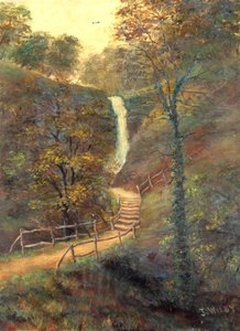 Shanklin Chine, Isle of Wight von J. Wilby