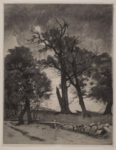 "April" von J. Zenneck