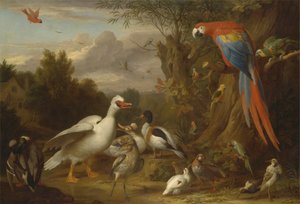 Ein Ara, Enten, Papageien und andere Vögel in einer Landschaft