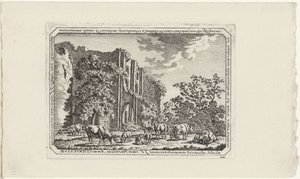 Vieh bei der Ruine von Brederode