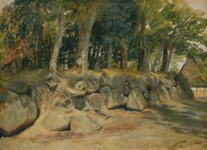Die Steinmauer in Sottorf (1839) von Jacob Gensler