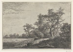 Das Kornfeld von Jacob van Ruisdael