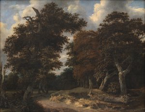 Straße durch einen Eichenwald von Jacob van Ruisdael
