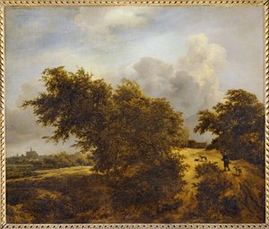 Weg in den Dünen von Haarlem oder Der Busch
