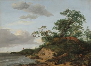 Dünen am Meer