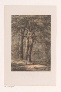 Jacoba-Laube von Jacob Jan van der Maaten