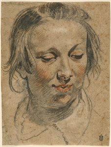 Kopf einer Frau von Jacob Jordaens