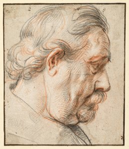 Kopf eines Mannes im Profil nach rechts von Jacob Jordaens