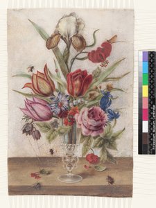 Venezianisches Glas mit Tulpen, Rosen, Anemonen, Enzian, Schachblume, Schwertlilie, Lilie, Maikäfer, Maifliege, Maiglöckchen und Primel von Jacob Marrel