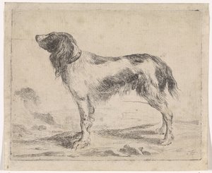 Stehender Hund von Jacob Toorenvliet