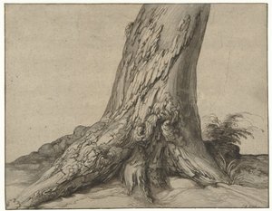 Studie eines Baumstamms mit Wurzeln von Jacob de Gheyn (II)