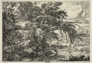 Hütte auf dem Hügel von Jacob van Ruisdael