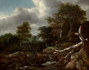 Waldszene, ca. 1655 von Jacob van Ruisdael