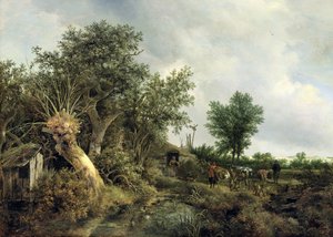 Landschaft mit Hütte, 1646 von Jacob van Ruisdael