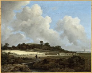 Blick auf Kornfelder mit einer fernen Stadt von Jacob van Ruisdael