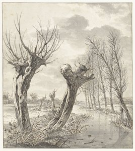 Winterlandschaft mit Kopfweiden entlang eines gefrorenen Grabens