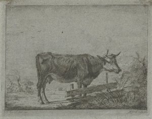 Kuh, stehend am Zaun