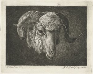 Kopf eines Widders mit gebogenen Hörnern von Jacobus Cornelis Gaal