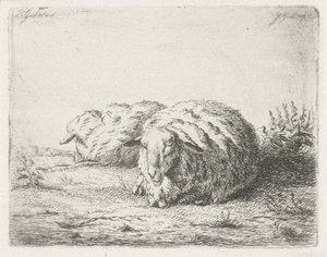 Zwei liegende Schafe von Jacobus Cornelis Gaal