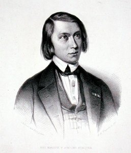 Porträt von Josephus Hermanus Verhulst (1816-91) von Jacobus Everardus Josephus van den (after) Berg
