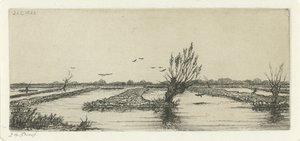 Moorsee