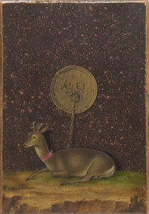 Porträt von Alvise Contarini(?); (verso) Ein angebundener Rehbock