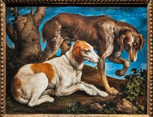 Porträt von zwei Hunden, die an einem Baumstamm angebunden sind