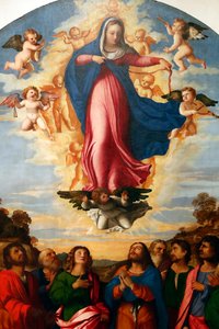 Die Himmelfahrt der Jungfrau Maria, von Palma il Vecchio Serina 1513